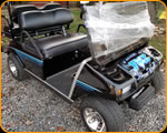 Custom Lettered and PinStriped Golf Cart by Casey Kennell