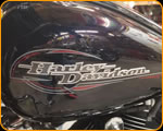 Casey Kennell The Paint Chop's Everyday Ride