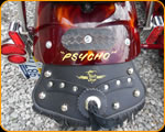 Master Custom Painter Casey Kennell painted these real flames on this nice Harley Davidson and Side Car