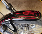 The Paint Chop's Everyday Ride